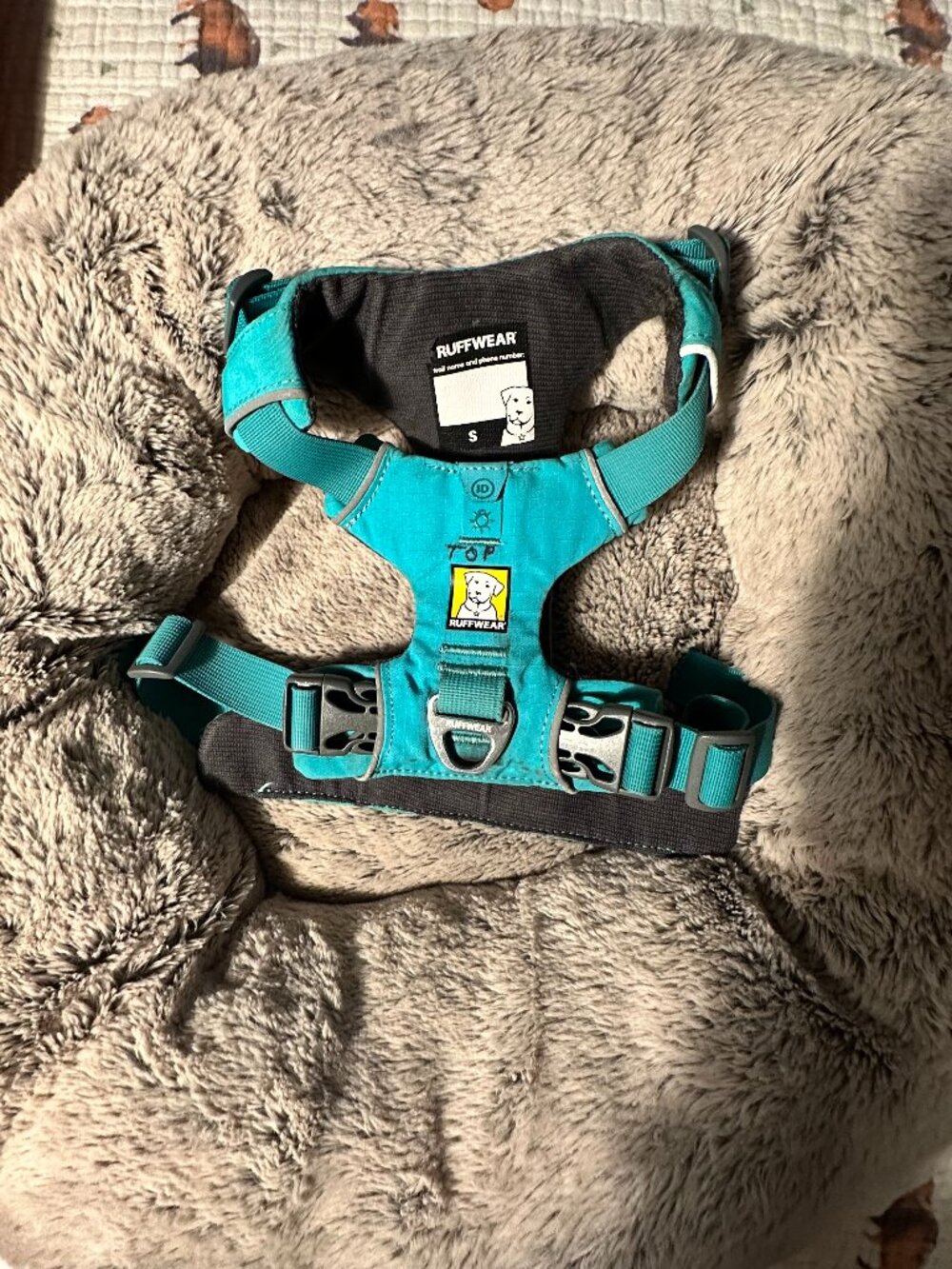 RuffWear Front Range Dog Harness in Aurora Teal